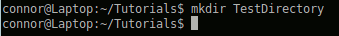 Using the mkdir command to make a directory