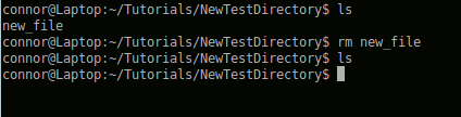 Using the basic rm command